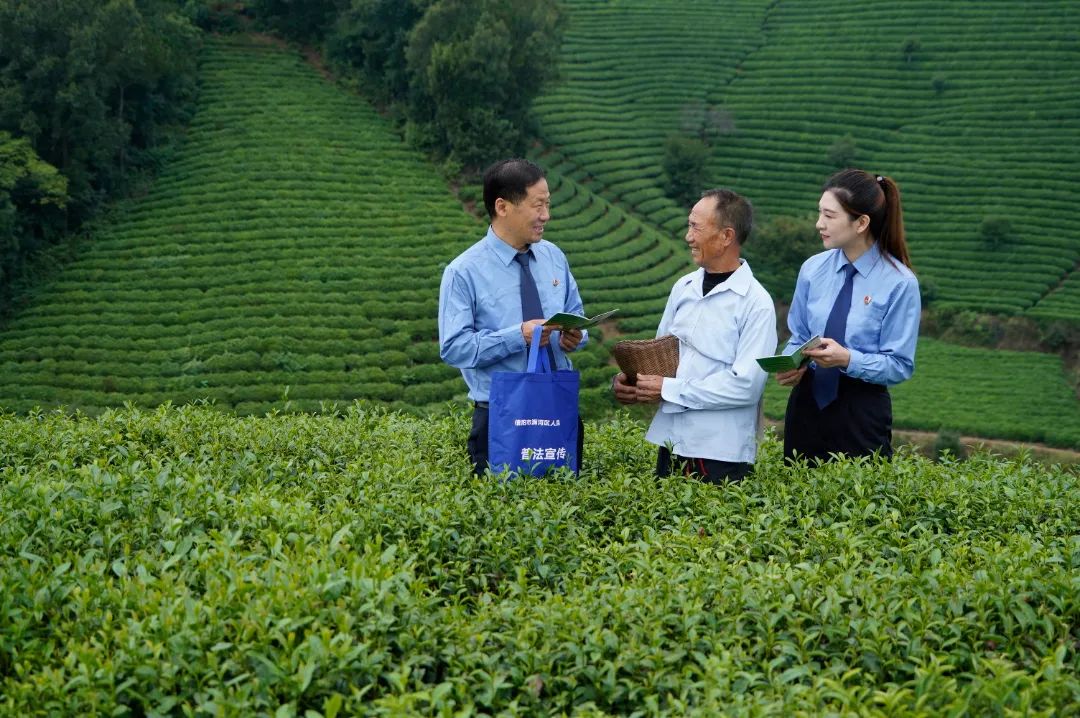 信陽(yáng)市檢察機(jī)關(guān)高質(zhì)量服務(wù)保障全市“1335”工作布局